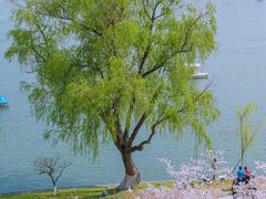 -南京城墙景区