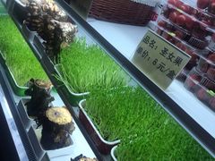 自助取餐区-番食园鲜食火锅(高新店)