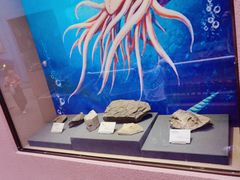 -陕西自然博物馆