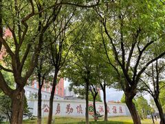 -中南大学湘雅医院