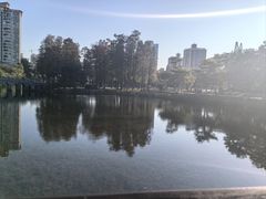 -四海公园(南山区)