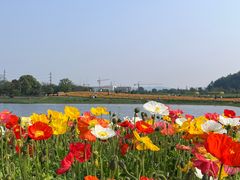 -径山花海