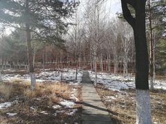 -长春世界雕塑园冰雪艺术天地