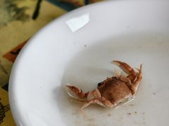 -原柳滩高台阶涮羊肉