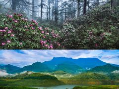 -瓦屋山景区