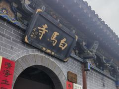 -洛阳白马寺