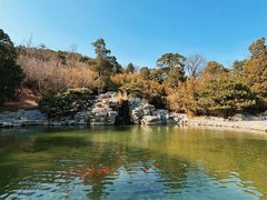 -香山公园