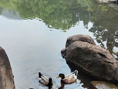 -白马涧龙池景区