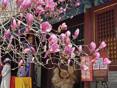 -潭柘寺景区