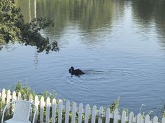 -万柳高尔夫俱乐部