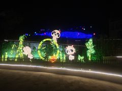 -大塘金香草谷
