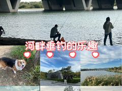 -绿堤公园
