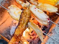 -南宁良凤江国家森林公园