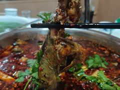 -彭大姐老店黄辣丁(新津店)