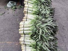 -五里店果蔬批发市场