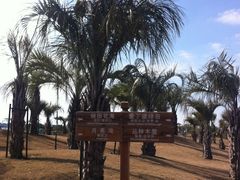 -南通洲际绿博园