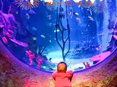 -沈阳海洋探索中心