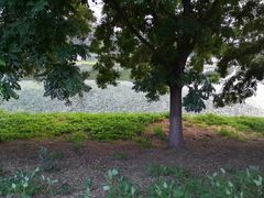 -北运河水利风景区