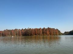 -上海海湾国家森林公园