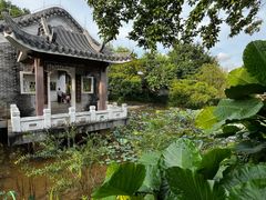-大亚湾红树林城市湿地公园