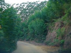 -南宁良凤江国家森林公园