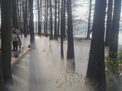 -东湖落雁景区