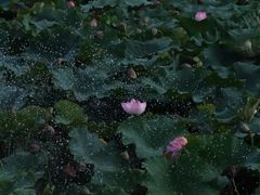 -建水文庙