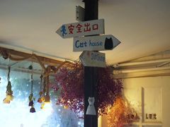 -海边的猫和咖啡馆