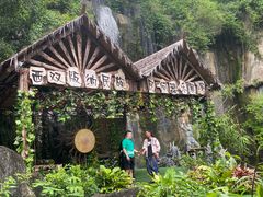 -西双版纳原始森林公园