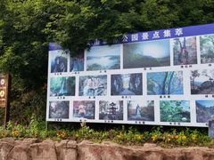 -天女山森林公园