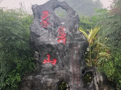 -阿元烧鹅(文明路店)
