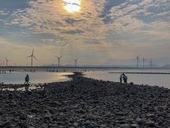 -长江澳风力发电景观区