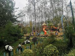 -合肥滨湖国家森林公园