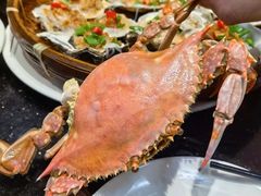-鲜鲜·鲅鱼圈海鲜(于洪店)