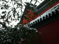 -八大处公园