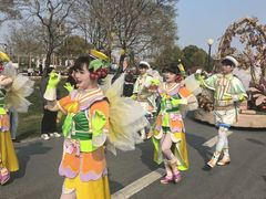 -荷兰花海