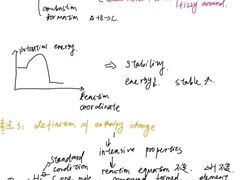 -JT PREP国际学科课程·IB·AP·Alevel(陆家嘴校区)