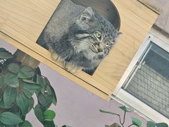 -青藏高原野生动物园
