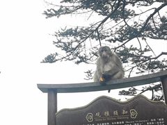 -峨眉山风景名胜区
