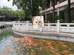 -广东圆玄道观