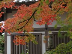 -常寂光寺