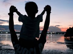 -宝安西湾红树林湿地公园