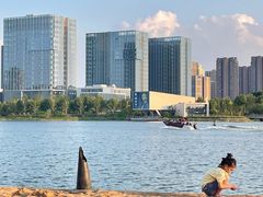 -金沙湖公园