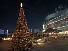 -厝包四点金·潮宴(太古仓店)