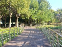 -江滩湿地公园
