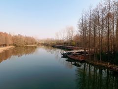 -溱湖国家湿地公园