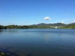 -佛手湖郊野公园