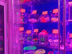 -宝鸡东道花鸟鱼虫市场(吉利花园商场店)