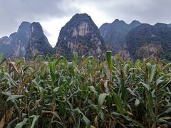 -大新明仕山庄
