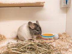 -龙猫仔乐园(惠福东路店)